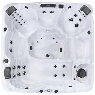 Avalon EC-840L hot tubs for sale in Terrehaute