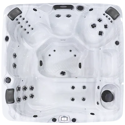 Avalon-X EC-840LX hot tubs for sale in Terrehaute