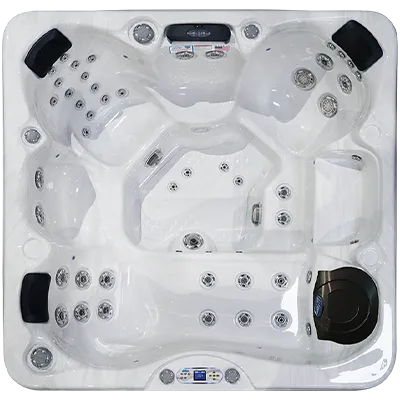 Avalon EC-849L hot tubs for sale in Terrehaute