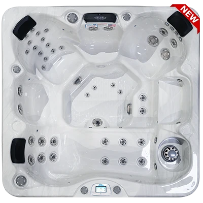 Avalon-X EC-849LX hot tubs for sale in Terrehaute