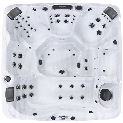 Avalon EC-867L hot tubs for sale in Terrehaute