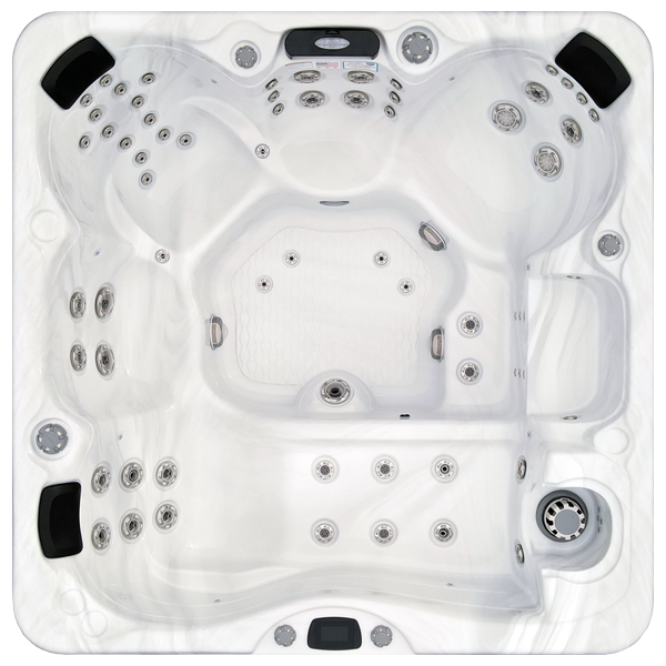 Avalon-X EC-867LX hot tubs for sale in Terrehaute